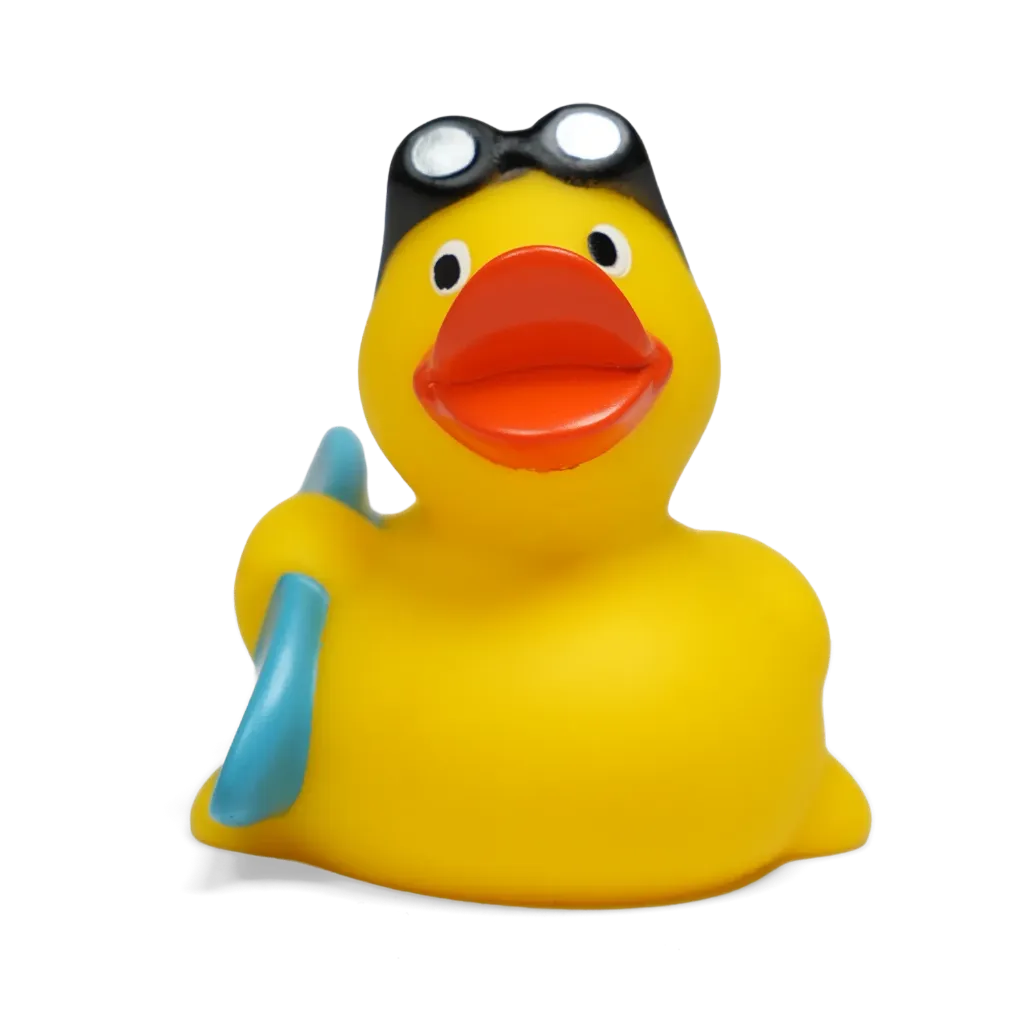 duck30.webp