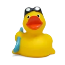 duck30.webp