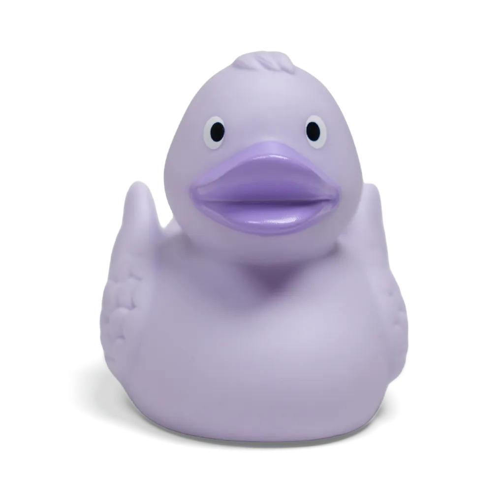 duck24.webp