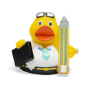 duck13.png