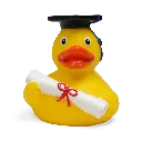 duck40.webp