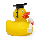 duck41_2.webp
