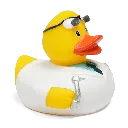 duck50.webp