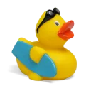duck29.webp