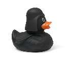 duck9.webp
