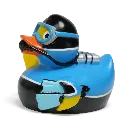 duck52-f (Large).webp