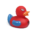 duck12.webp
