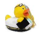 duck14.webp