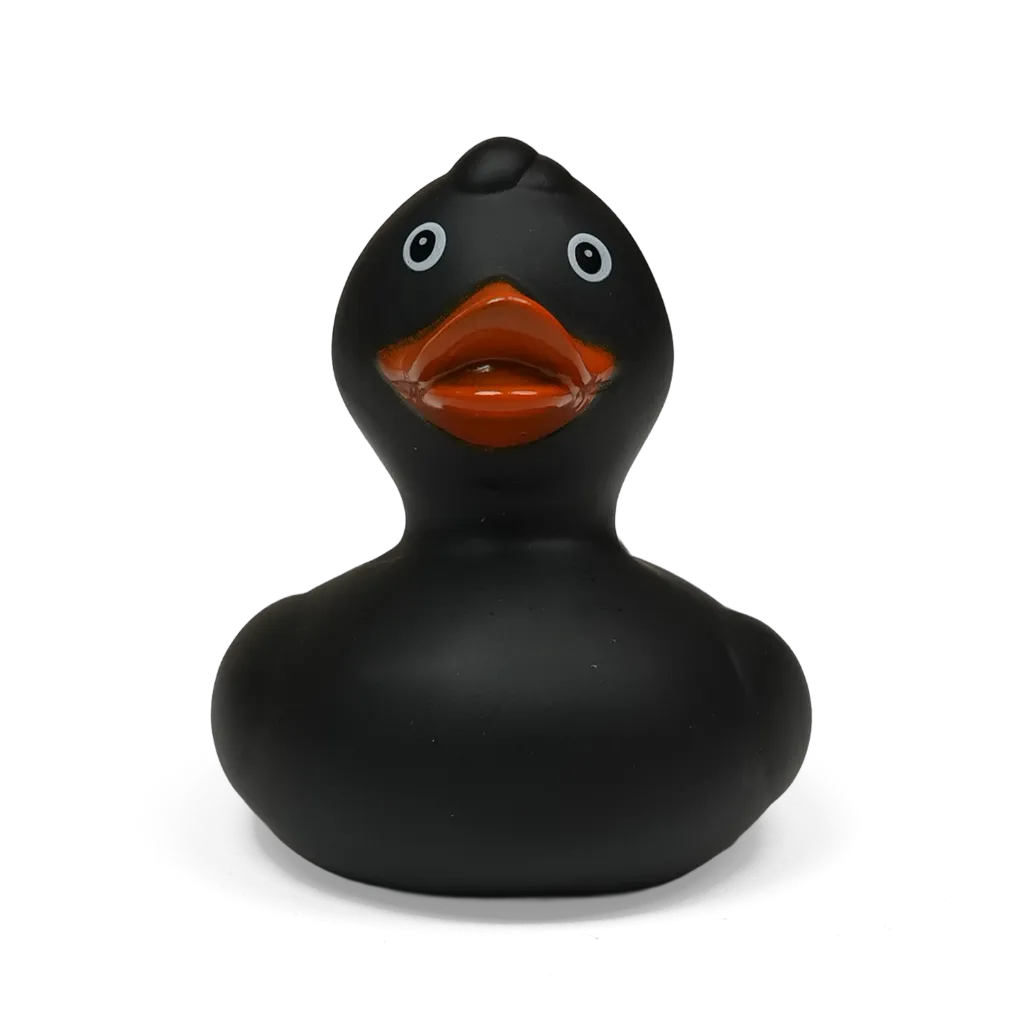 duck45.webp