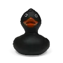 duck45.webp