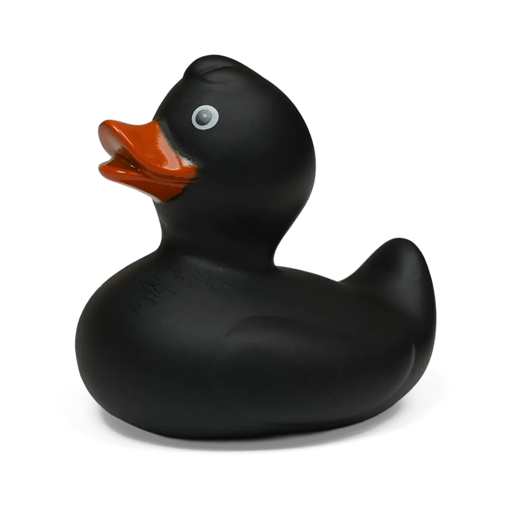 duck47.webp