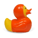 duck30.webp