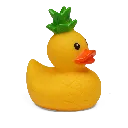 duck36.webp