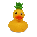 duck34.webp