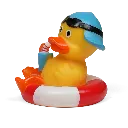 duck27.webp