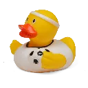 duck33-f.webp