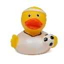 duck35.webp