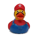 duck48.webp