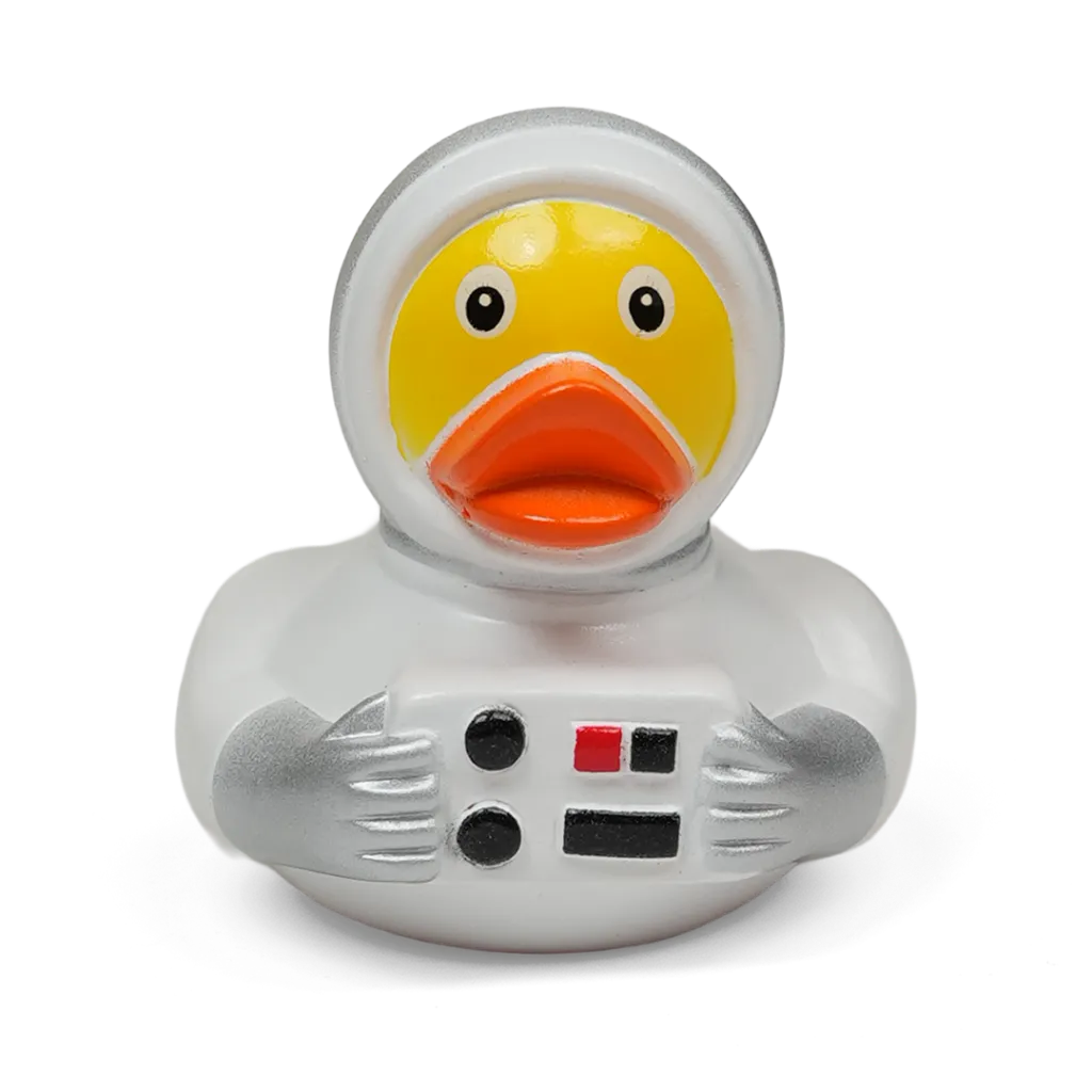 duck65.webp