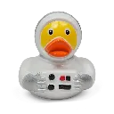 duck65.webp