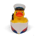 duck72.webp