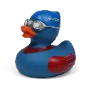duck80.webp
