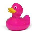 duck95.webp